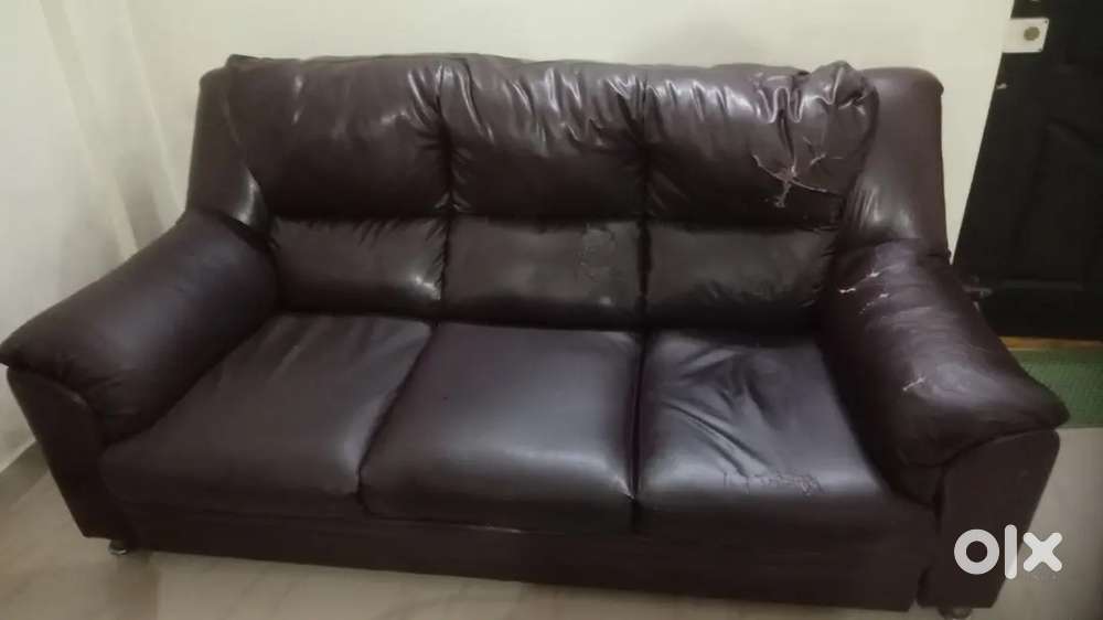 Sofa, 10 years old