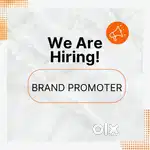 BRAND PROMOTER-FEMALE(Thalayolaparambu)