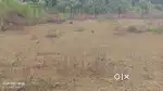 38 cent industry land bus road facing
