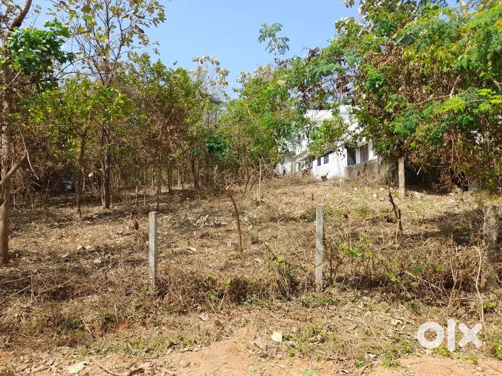 1 acre plot for sale
