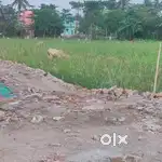 Reddy plot sell near thakurpukr
