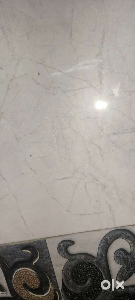 Rent for home મકાન ભાડે દેવાનું છે ૮૮૪૯૯૮૨૪૬૧