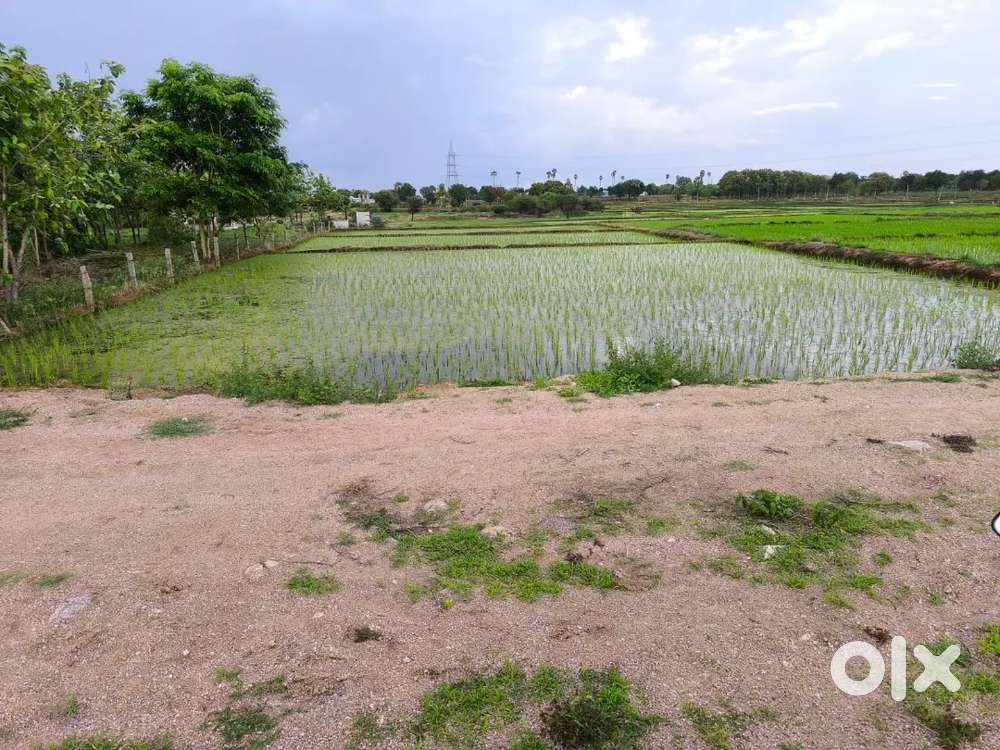 Agriculture land for sale