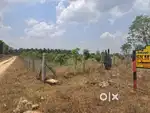 3 Acres Farm Land for Sale in Thoppampatti, Palani