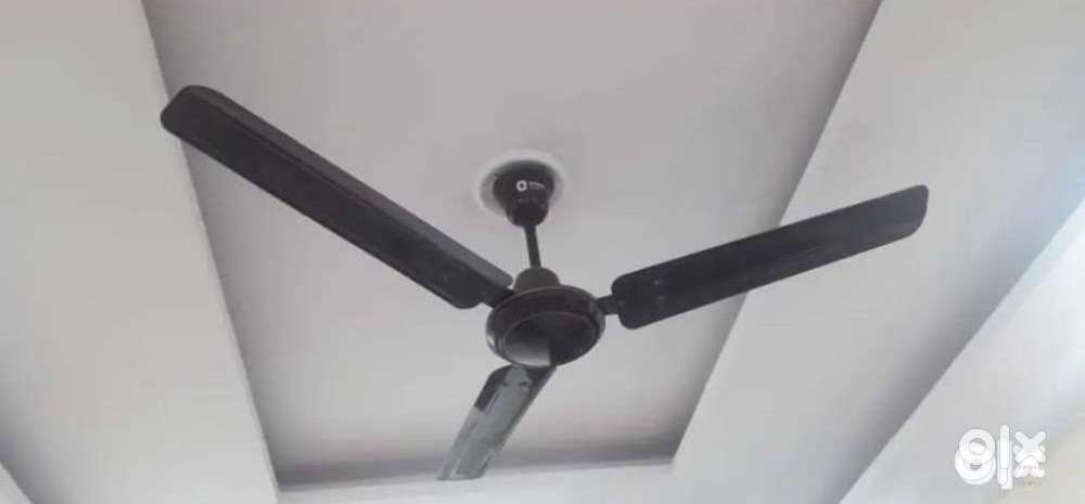 Orient Ceiling Fan
