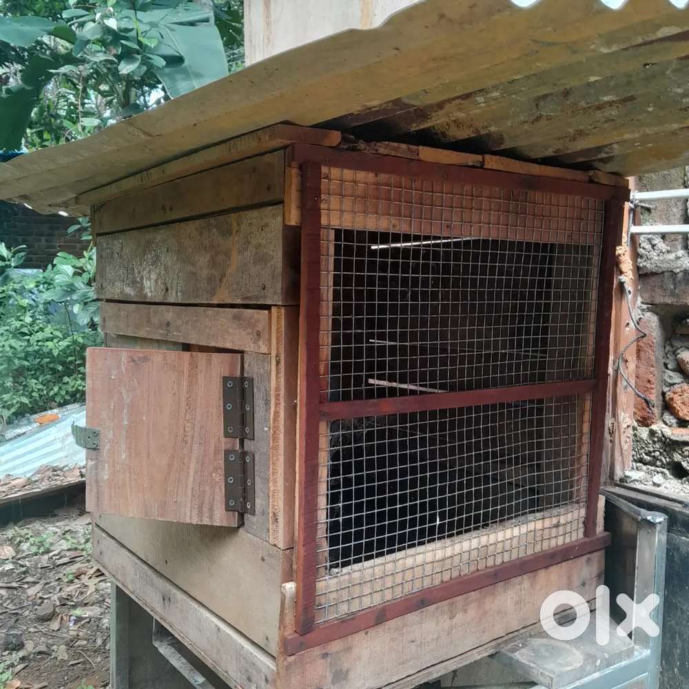 Birds cage for sale