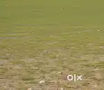 Empty Land for rent