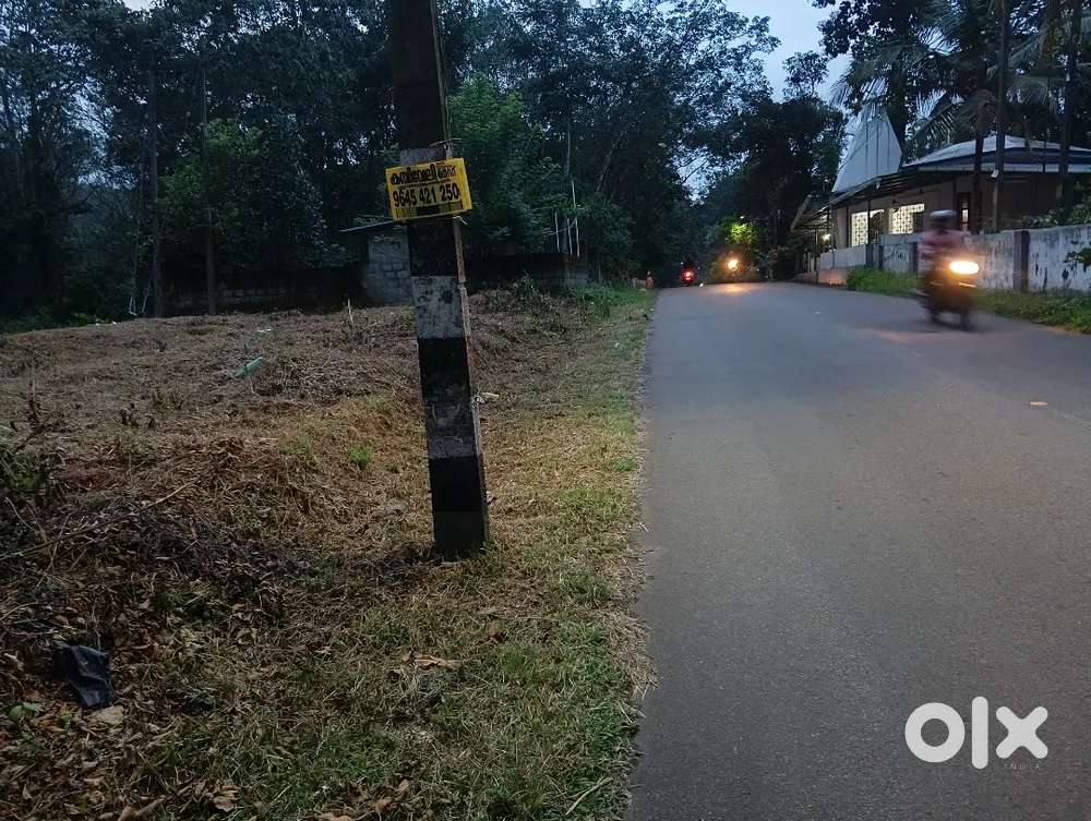 Mulanthuruthy, pambra busroot freandage plot for sale