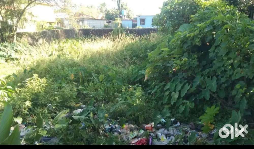 Land for sale near bhalobasha more direct owner