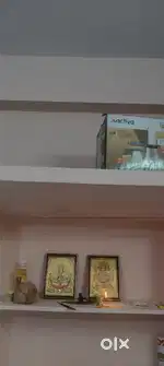 Looking for roommate male or female do whatsapp call only