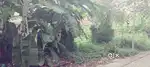 4 Cent land for sale Kaloor Near. Just 300 Mtrs distance main road.