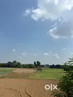 I want to buy 1 beegha land near khurja jewar highway
