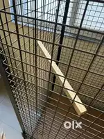 Birds cage for sell