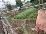Plot for sale 12marla main road