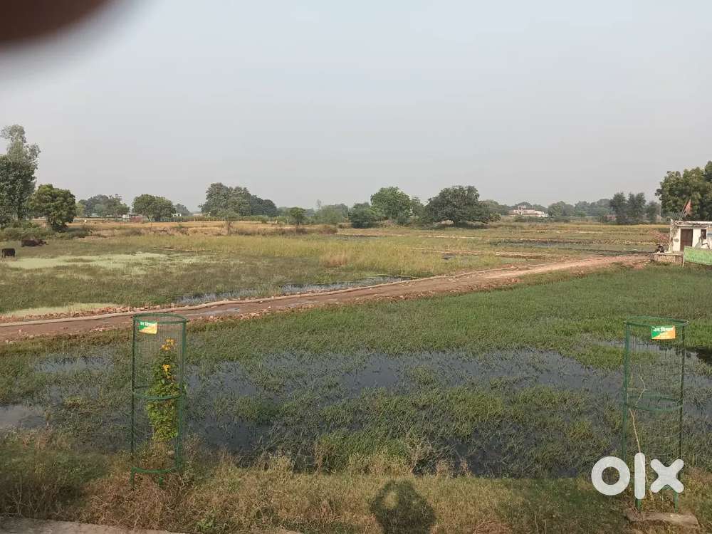 Gaura kala main ring road