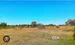 311 YARD plot available
