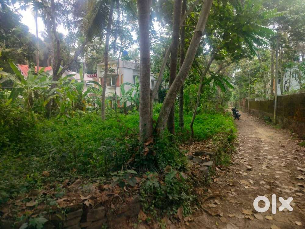 PLOT FOR SALE
