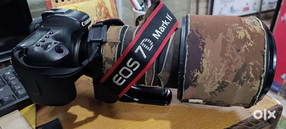 Canon 7D M2  with tamron g2 150-600