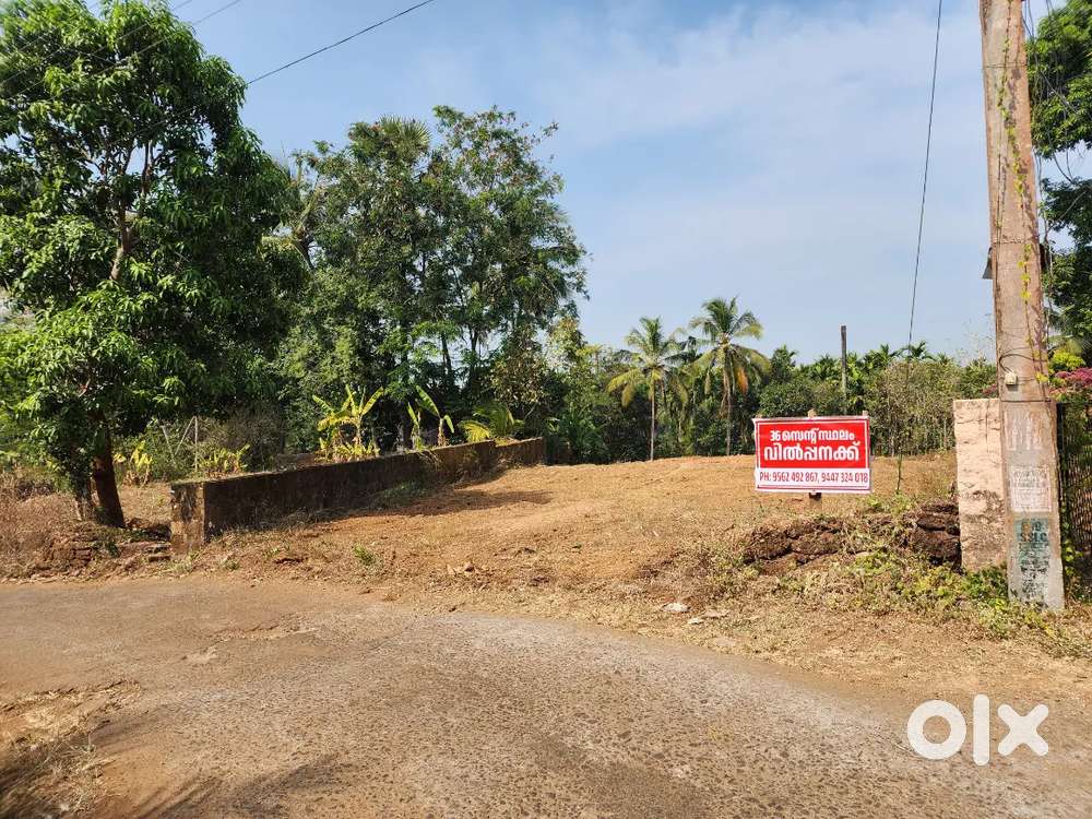 Thiruvazhiyode 25, 36, 40സെൻറ് പ്ലോട്ടുകൾ വിൽപ്പനക്ക് (NOT BROCKER)