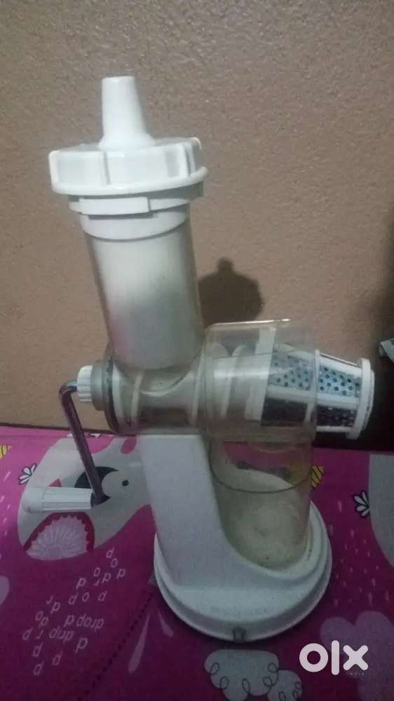 Fruit and vegetable juicer