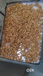 Ajmer railway canteen main halwai ka kaam krna hai