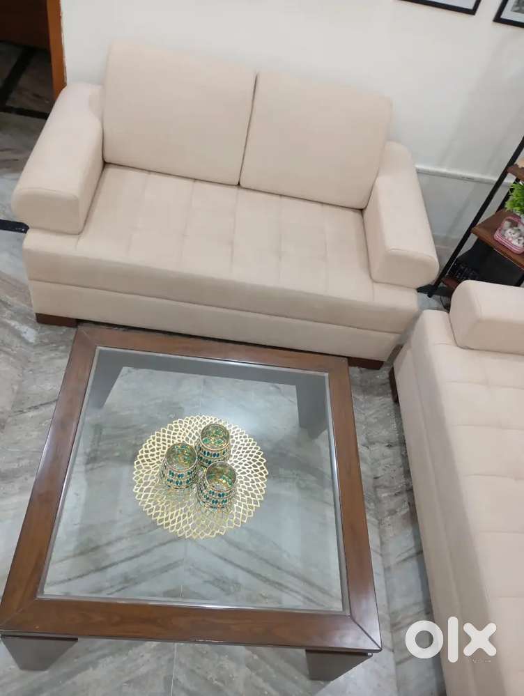 2 seater wide sofa with center table