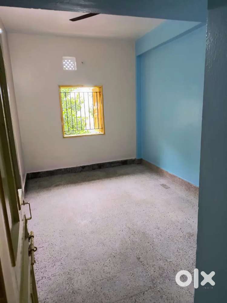 New Forest Park only for couple bachelor working