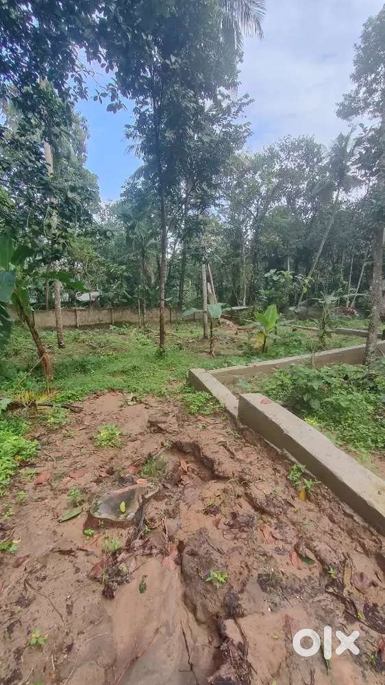 6 cent residential plot for sale