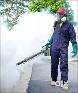 Pest Control Job