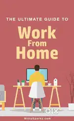 100% Remote Work