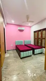 The cozy nexy pg & hostel