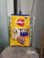 Pedigree adults