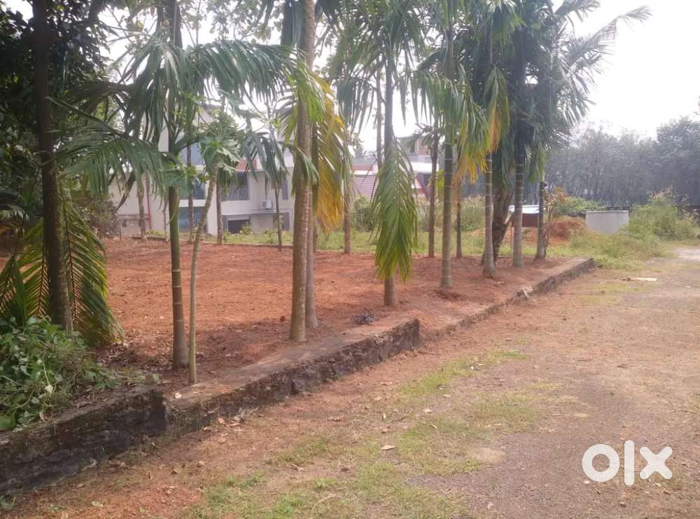 6 cent original land Aluva kalady road sreemoolanagaram near airport