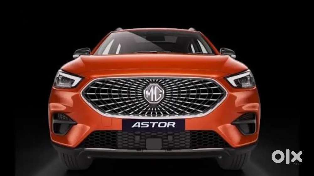 Wanted drivers foe tourism company