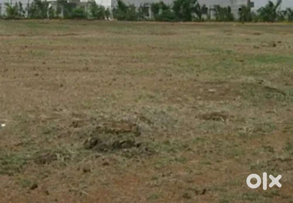 22000 Carpet Open Land Use Banquet, Turf Rent Chembur Good Locality