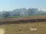 Ready to move plots