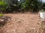 23 Cent Residential Land For Sale at Munderi, Kannur (nz)