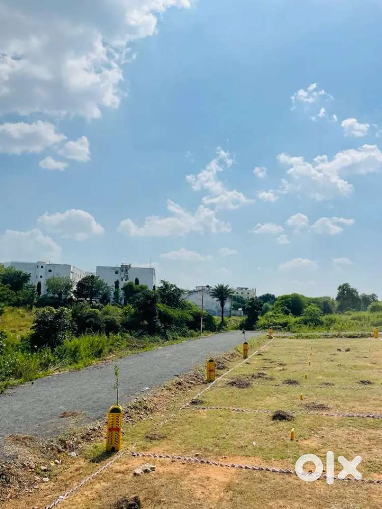 40 feet Road Plot in 12 Lac