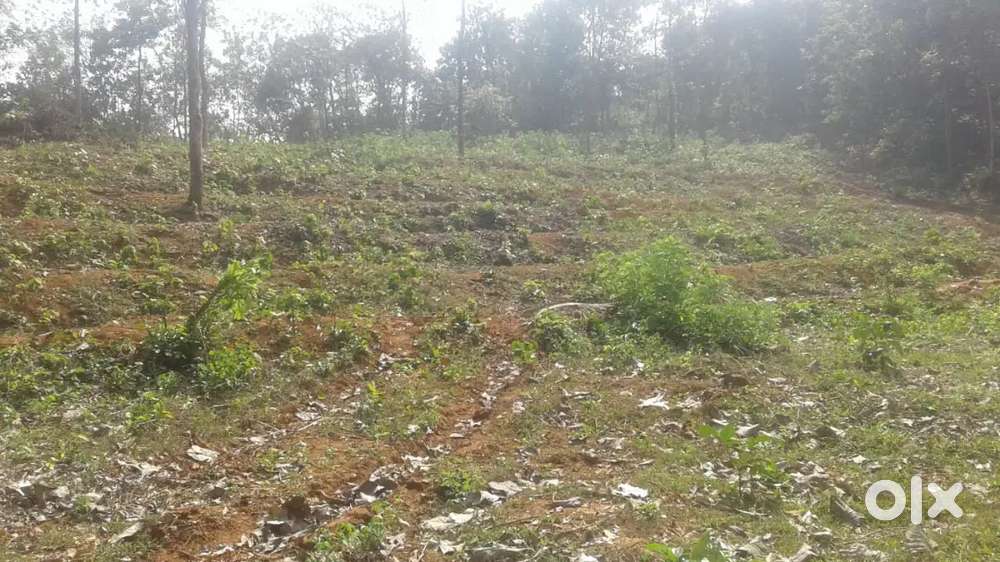 2acre Land Plot for Sale 35000 per cent - Ideal for Planations/Home