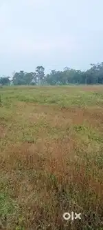185 gunta beach land for sale near baada suitable for resort beach.