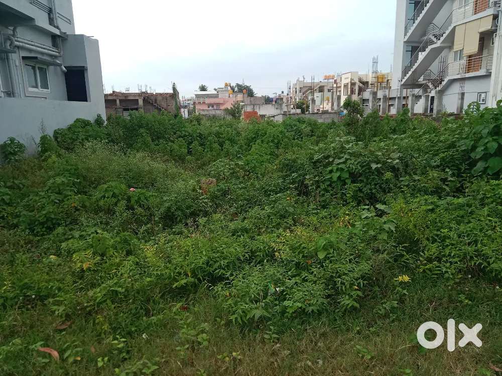 Premium property for sale