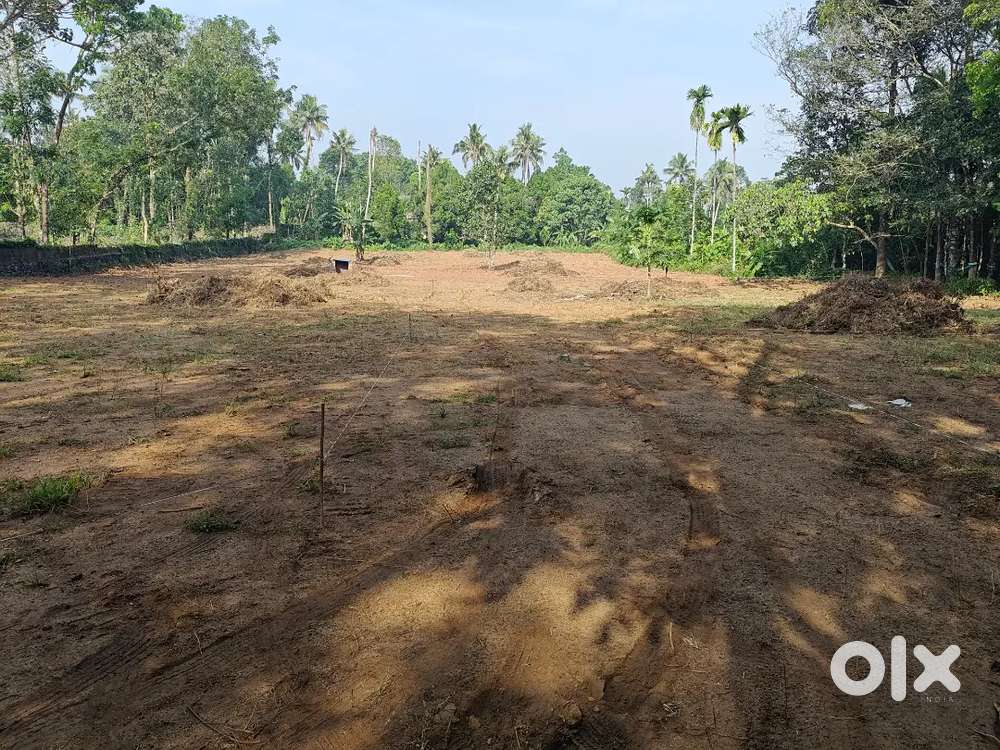 Thrikkalathoor House Plot