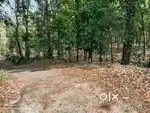 1 Acre Agricultural Land for Sale in Thambalakkad, Kanjirappally