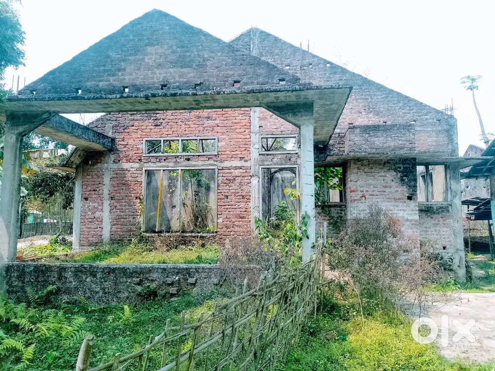 Land for sale... district.jorhat. Hachara Bamunpukhuri Gohain gaon