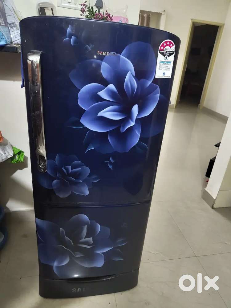 183 L Direct Cool Single Door Refrigerator with Digital Inverter