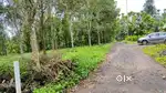 1 Acre Dry land for Sale in Wayanad
