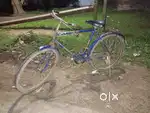 Cycle in good condition