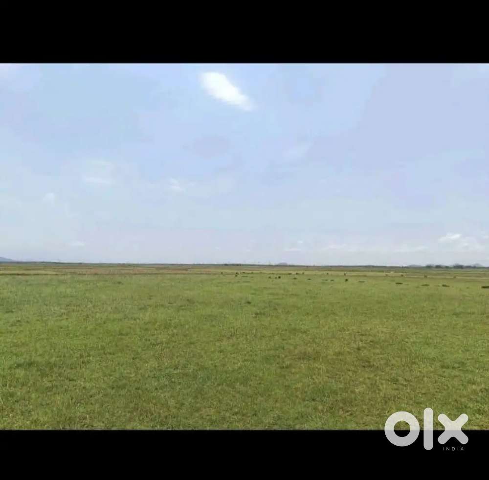 Investment for your future