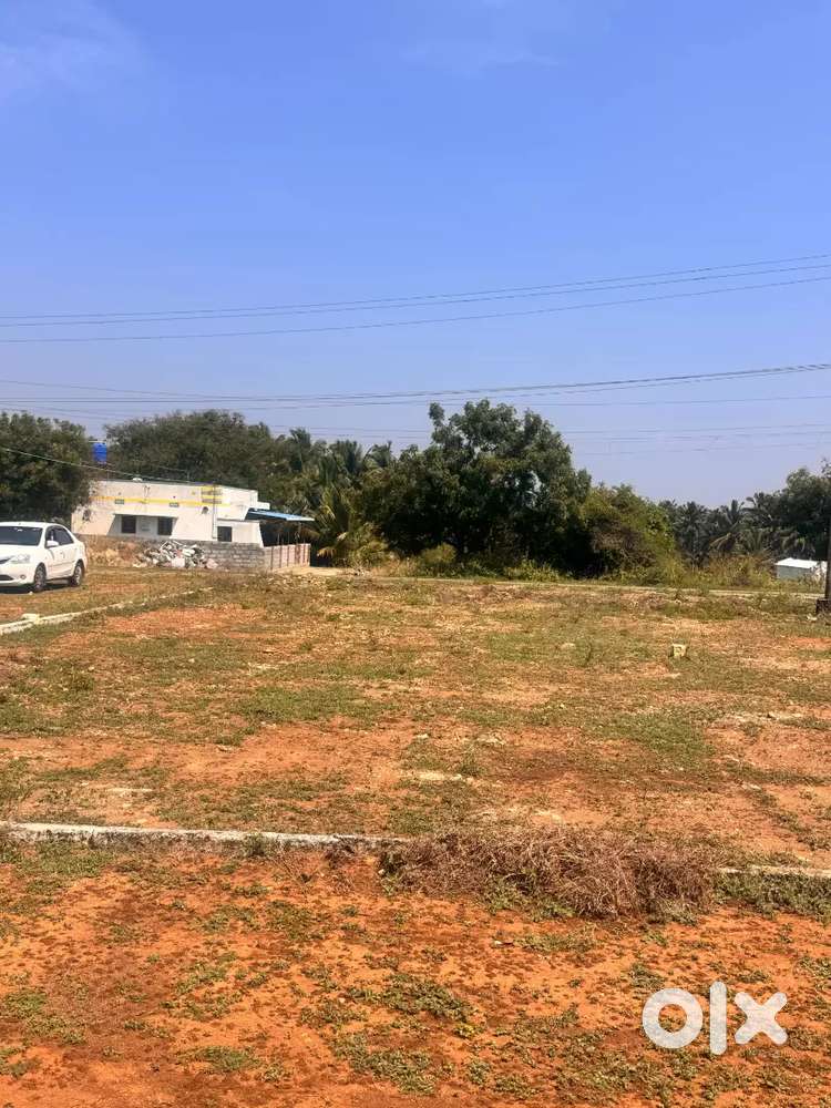 Very low budget dtcp site sale in kinathukadavu