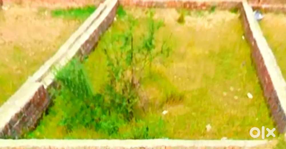 RESIDENTIAL PLOT FOR QUICK SALE (In Naini,Prayagraj- In Lowest Price)
